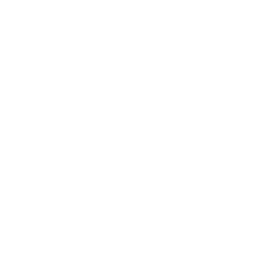 FYBER