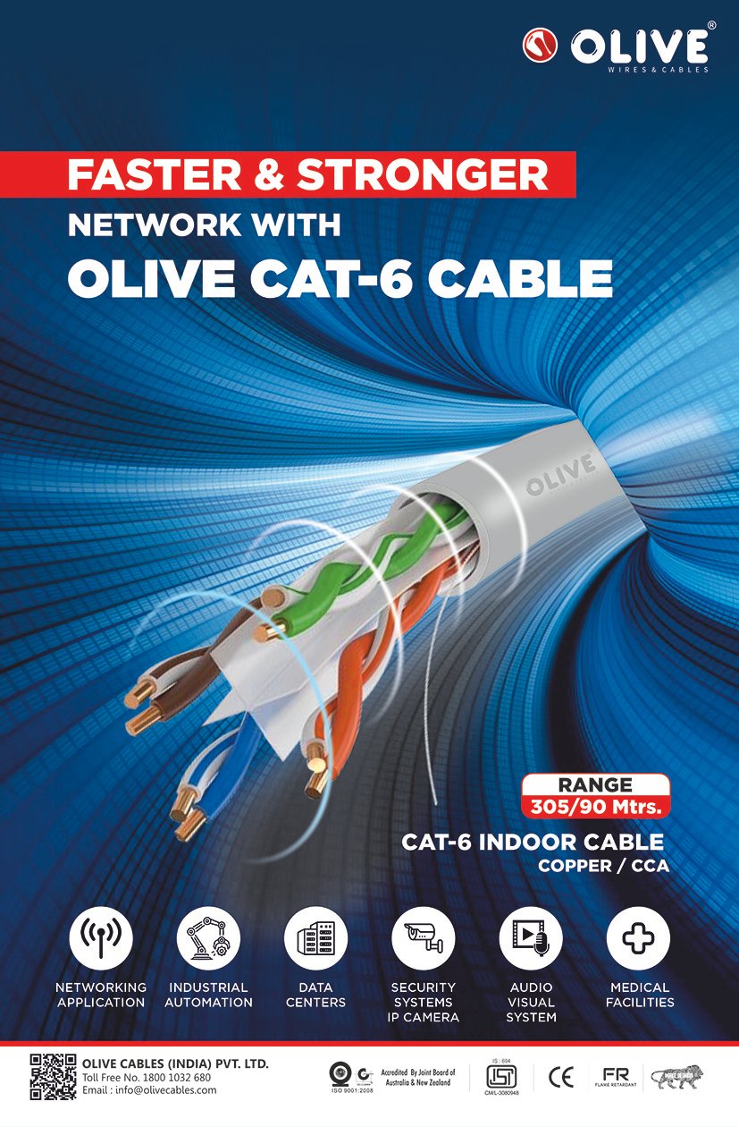 Olive Cat 6 Networking